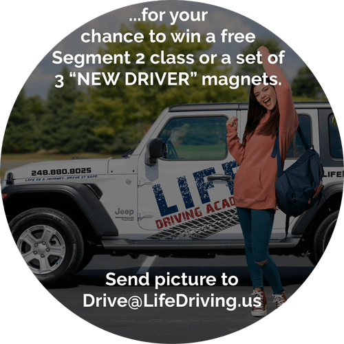 Segment 2 LIFE Driving Academy